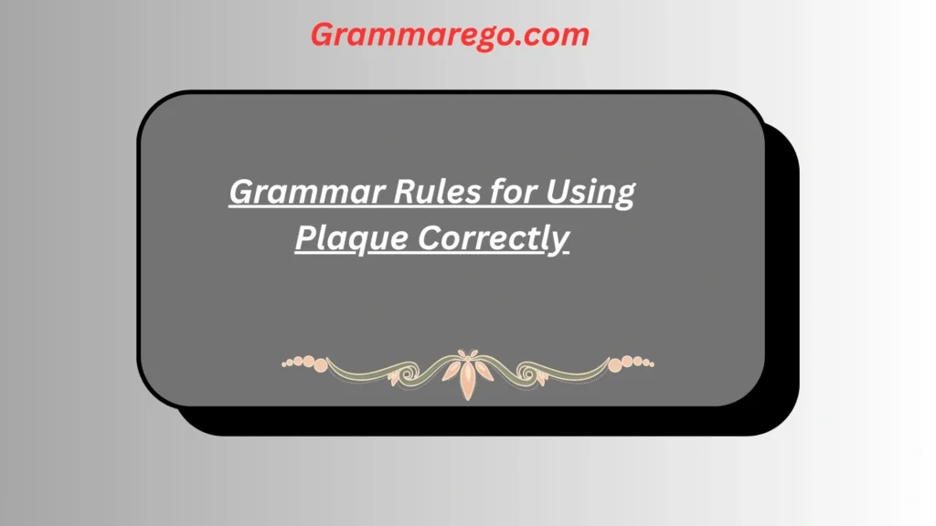Grammar Rules for Using Plaque Correctly