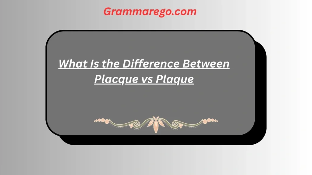 What Is the Difference Between